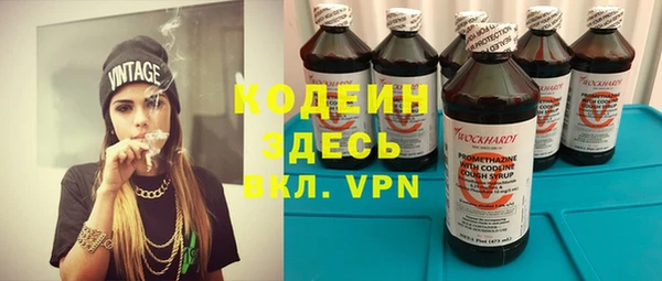 шишки Богородицк