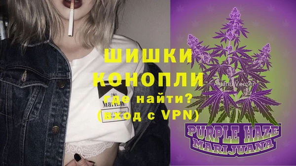 шишки Богородицк