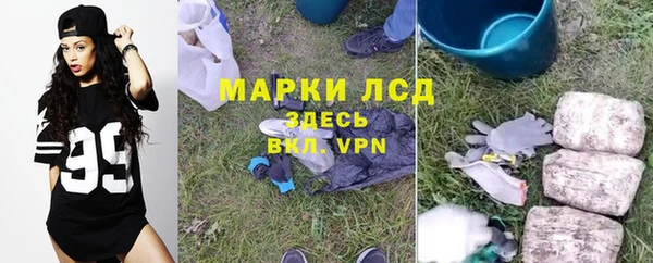 шишки Богородицк