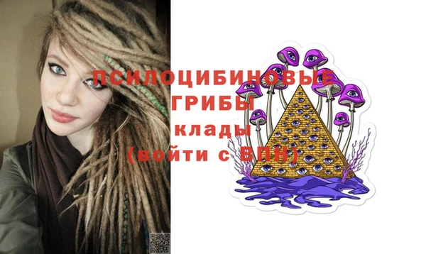 таблы Белокуриха