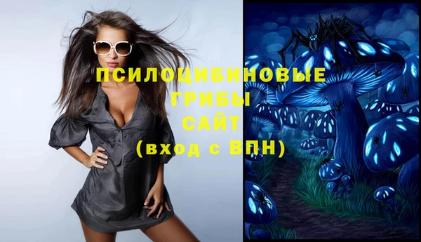 таблы Белокуриха