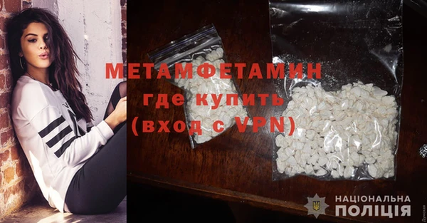 шишки Богородицк