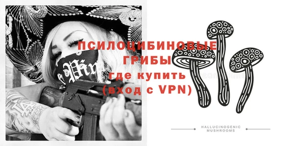 мдпв Богданович