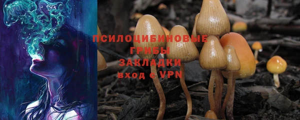таблы Белоозёрский