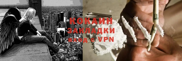 мдпв Богданович