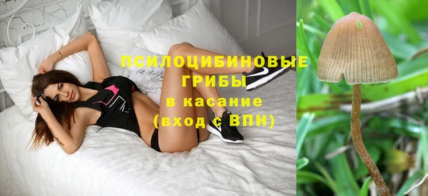 таблы Белокуриха