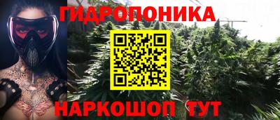 ПСИЛОЦИБИНОВЫЕ ГРИБЫ Заволжье