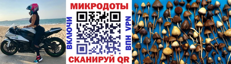 Псилоцибиновые грибы ЛСД  OMG ONION  Кушва 