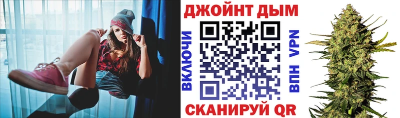 Конопля сатива  Кушва 